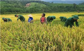 Tình quân dân nơi biên giới Quảng Trị