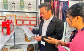 Gia Lai: Khai trương mô hình thương mại hai chiều vùng cao