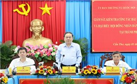 Cần Thơ cần triển khai đẩy mạnh ứng dụng công nghệ thông tin trong công tác bầu cử