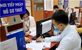 Nhiều chính sách mới có hiệu lực từ tháng 2