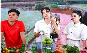 Xóa “vùng xám trách nhiệm” của người có ảnh hưởng trên mạng xã hội