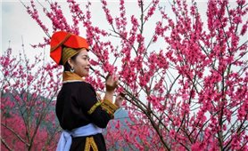 Biên giới đón Xuân