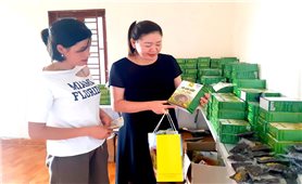 Cây “sâm trắng” Xín Mần