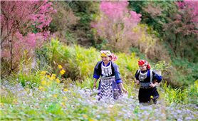 Diễn biến thời tiết những ngày Tết Nguyên đán Bính Ngọ 2026