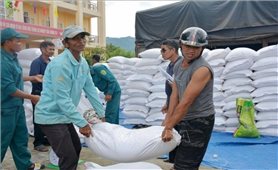 Xuất cấp hơn 14.660 tấn gạo dự trữ hỗ trợ Nhân dân đón Tết Nguyên đán