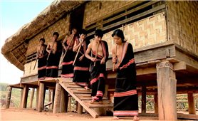 Đinh tút thì thầm gọi Xuân