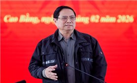 Thủ tướng: Phát động 