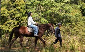 Du khách hào hứng cưỡi ngựa ngắm đại ngàn Măng Đen