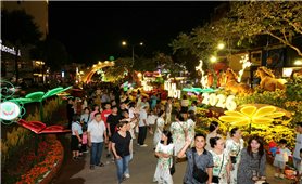 Du lịch Đồng bằng sông Cửu Long 