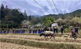 Lễ “Pặt Oong” - Nét đẹp văn hóa của người Pu Péo