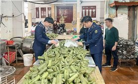 Khởi tố 2 đối tượng sản xuất giò chả chứa hàn the, thu giữ hơn 1,2 tấn thực phẩm