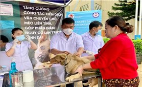 L Gia Lai tích cực phòng - chống bệnh dại