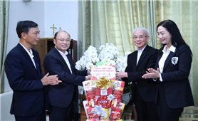 Lãnh đạo tỉnh Thanh Hóa thăm, chúc Tết các cơ sở tôn giáo