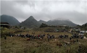 Trải nghiệm Ngày hội Xuân trên biên cương xứ Nghệ