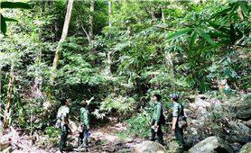 Những người “đón Tết