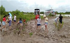 Hơn 464 tỷ đồng phát triển Du lịch sinh thái Vườn quốc gia Xuân Thủy