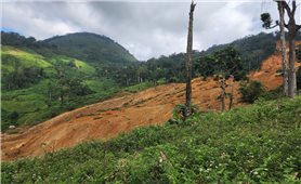 Đà Nẵng công bố tình huống khẩn cấp về thiên tai tại hai xã biên giới