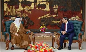 Thủ tướng thúc đẩy UAE cung cấp dầu khí cho Việt Nam theo nhu cầu, an toàn và đúng hạn