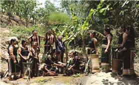 Nước giọt - Mạch nguồn nuôi dưỡng hồn làng Ba Na