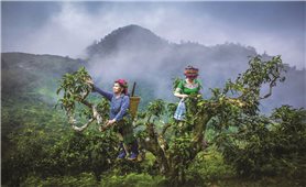 Giàng Pằng - Nơi người Mông viết câu chuyện từ Shan tuyết