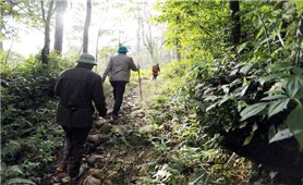 Khai thác con đường đá cổ Pavie