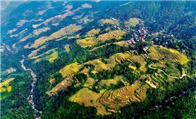 Việt Nam góp mặt trong danh sách 51 điểm đến đẹp nhất thế giới 2026 của Time Out