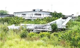 Thông tin về nguồn gốc máy bay MiG-21 bị 'bỏ quên' ở Cà Mau