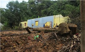 Đà Nẵng đề xuất xây khu tái định cư cho người dân vùng miền núi bị thiên tai