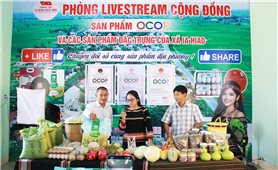 Lãnh đạo xã livestream bán hàng gây quỹ hỗ trợ 1.000 học sinh khó khăn