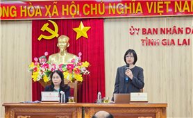 Đến Gia Lai “thoải mái như ở nhà”
