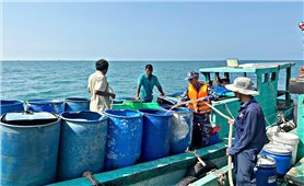 “Giải khát” cho người dân đảo Hòn Chuối trong nắng hạn gay gắt