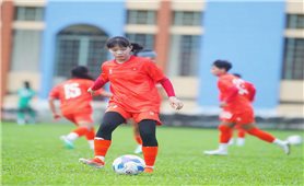 Nguyễn Thu Trang - Đóa hoa rừng trên sân cỏ