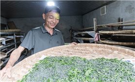 Làm giàu với nghề 