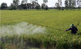 Khuyến khích doanh nghiệp đầu tư vào nông nghiệp, nông thôn