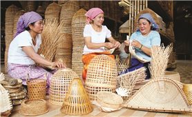 Kỳ vọng mới về Chương trình mục tiêu quốc gia ở vùng Tây Nam Bộ