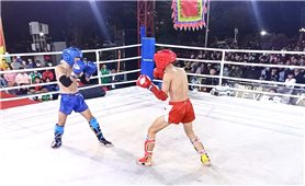 Gia Lai bảo tồn và phát huy Võ cổ truyền Bình Định