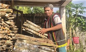 Những “cột mốc sống” nơi bản làng người Co