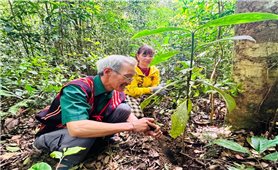 Người Ba Na sử dụng 
