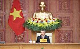 Thủ tướng Lê Minh Hưng làm việc với 52 doanh nghiệp hàng đầu của Hoa Kỳ