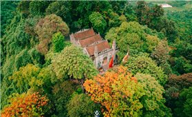 Sức hút du lịch từ Lễ hội Đền Hùng