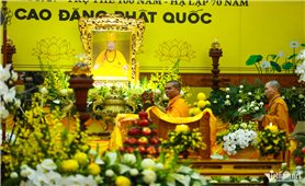 Thứ trưởng Nguyễn Hải Trung viếng Trưởng lão Hòa thượng Thích Thanh Dục