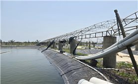 “Canh bạc” trên cát: “Giấc mơ” đổi đời hóa thành gánh nợ (Bài 2)