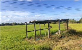 Nông dân xã Ea Rốk khoan giếng, lắp pin năng lượng mặt trời tại ruộng