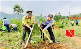 Dựng “vành đai xanh”, giữ vững phên giậu Tổ quốc
