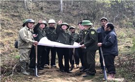 Lào Cai đang quyết liệt phòng chống cháy rừng từ sớm, từ xa