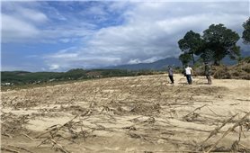 Đà Nẵng xây dựng chính sách ổn định dân cư vùng thiên tai giai đoạn 2026 - 2030