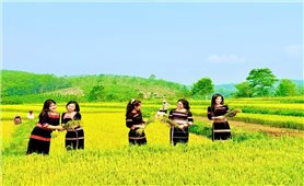 Vùng cao Quảng Ngãi sẵn sàng chào đón du khách trong kỳ nghỉ lễ 30/4 - 1/5