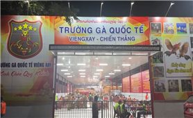Thanh Hóa triệt phá “trường gà quốc tế Viêng Xay”, giao dịch hơn 1.200 tỷ đồng