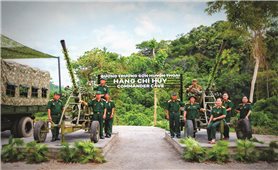 Những kỳ tích dưới cánh rừng phong lan