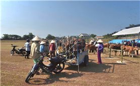 Đà Nẵng: Trao sinh kế cho hộ nghèo từ nguồn vốn chương trình mục tiêu quốc gia